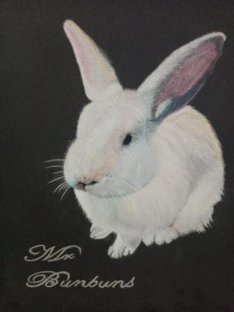 Image 9 of Hand Drawn Pet Portraits in pastel