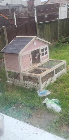 Image 2 of Full guinea pig set up including female pig outdoor cage and