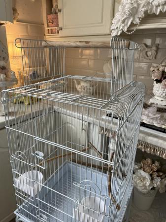 Image 4 of White bird cage and stand