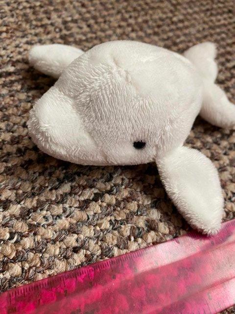 Preview of the first image of Cute super soft Beluga whale cuddly toy.