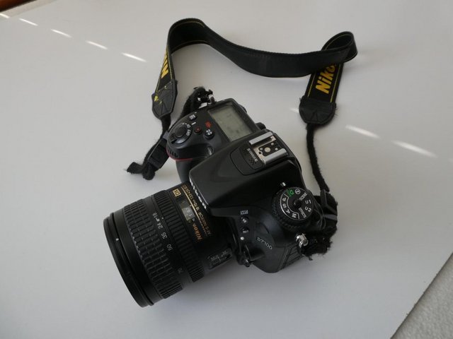Preview of the first image of Nikon D 7100 Digital Camera.