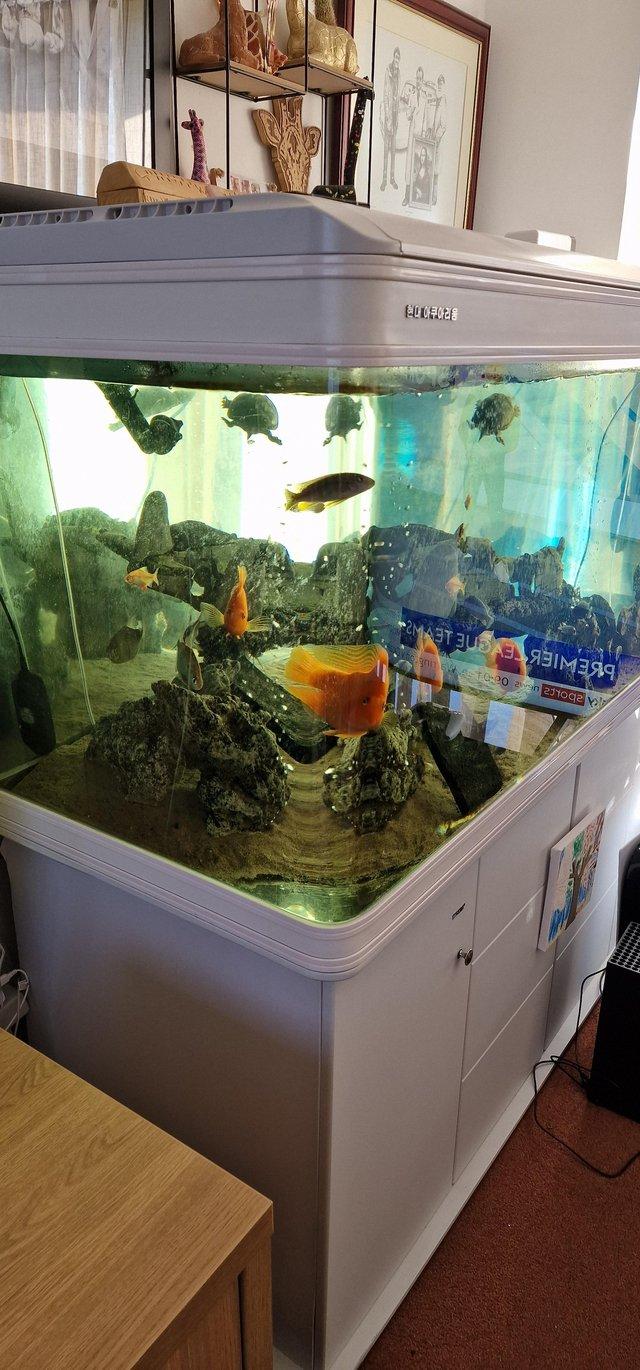 Preview of the first image of 5ft fish tank and cabinet for sale.