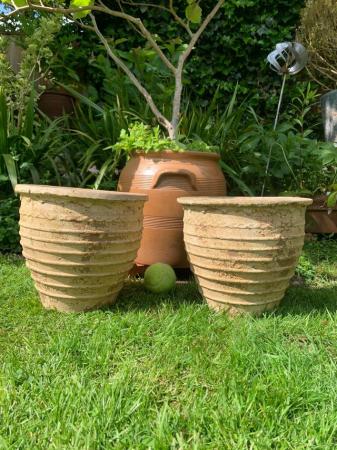 Image 1 of Pair of terracotta plant  pots