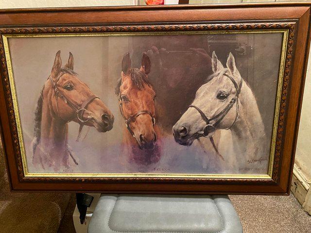 Preview of the first image of Framed picture of famous race horses.