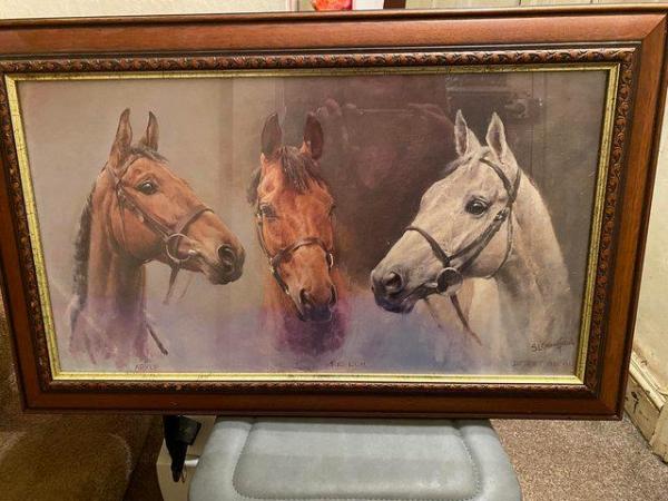 Image 1 of Framed picture of famous race horses