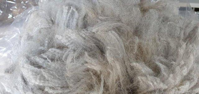 Image 4 of Alpaca fleece for sale - premium fibre from £17.50 per kg