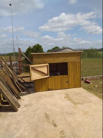 Image 2 of 8ft x 5ft x 5'6'' field pony shelter