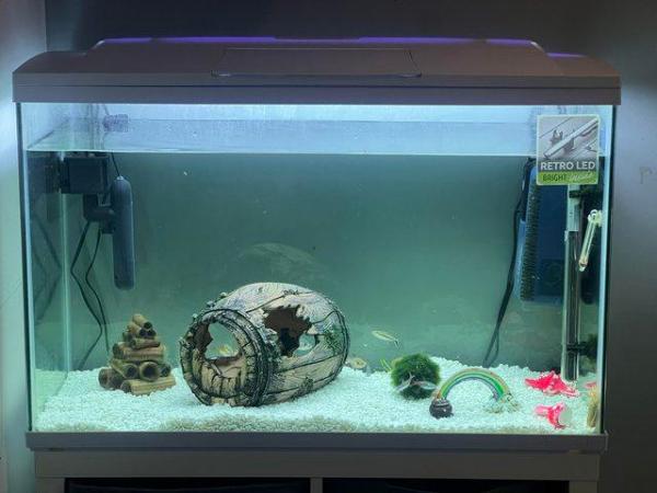 Image 3 of Tropical fish and tank full set up 148L