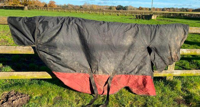 Preview of the first image of 6’ Amigo Mio 350g Heavyweight Turnout Rug, Excellent cond'n.