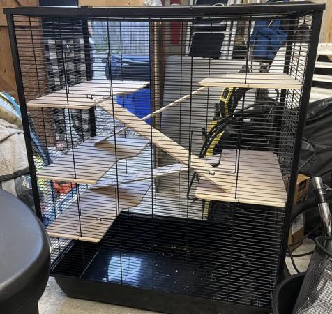 Image 2 of Ferret and Rat cage (black)
