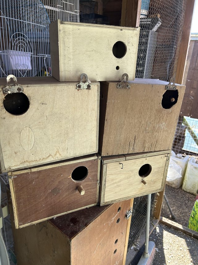 Preview of the first image of Budgie nest boxes for sale.