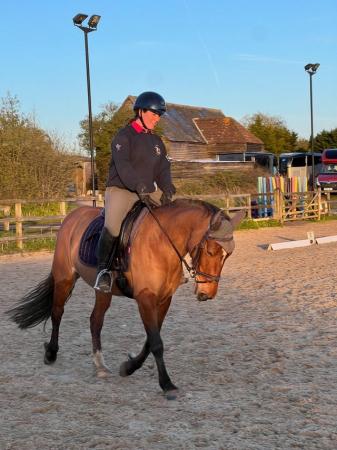 Image 3 of 14hh Pony Mare for Loan or Share in Hertfordshire