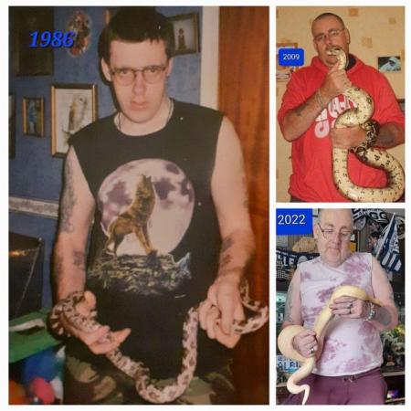 Image 2 of Reptile rehoming services