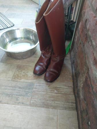 Image 1 of Brown Leather Riding Boots size 5