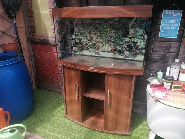 Preview of the first image of LARGE CURVED FRONT FISH TANK WITH CABINET.
