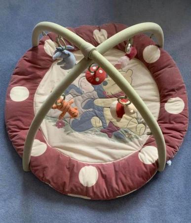 Image 3 of Disney Baby Winnie the Pooh and Friends Baby Playmat