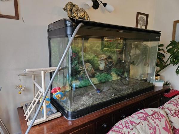 Image 5 of Fish tank 360ltr boyu 4ft need gone !