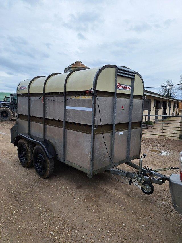 Preview of the first image of Lightweight livestock trailer no vat - sheep goat pig pony.