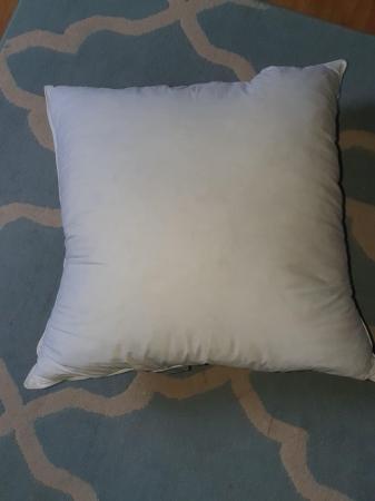 Image 1 of Large duck down pillow for sale