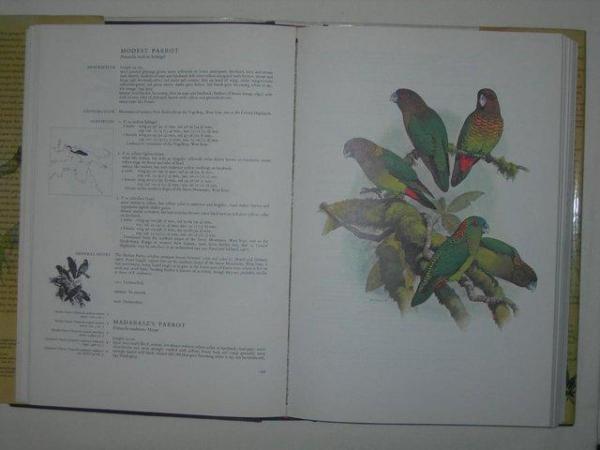 Image 1 of PARROTS OF THE WORLD BIRD BOOK