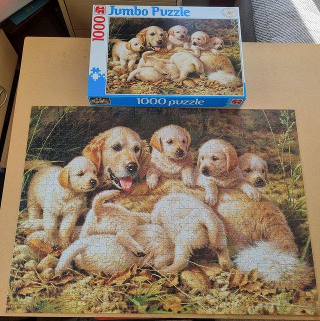 Preview of the first image of 1000 piece jigsaw called GOLDEN RETRIEVERS by Jumbo PUZZLES.
