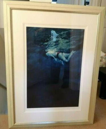 Image 3 of Rolf Harris Snorkelling Over The Deep Ltd Framed Picture