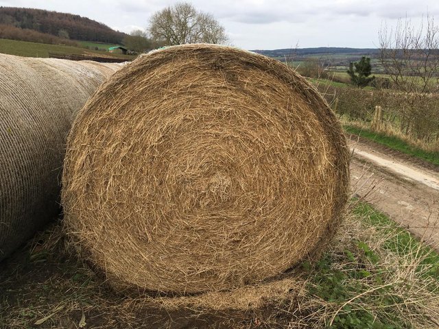 Preview of the first image of Large 5ft Round Bales 2023 Meadow Hay for All Livestock.