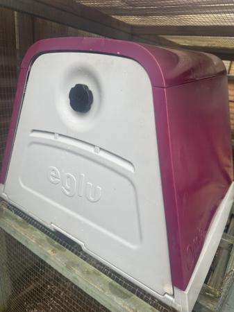 Image 4 of Eglu go up in purple excellent condition
