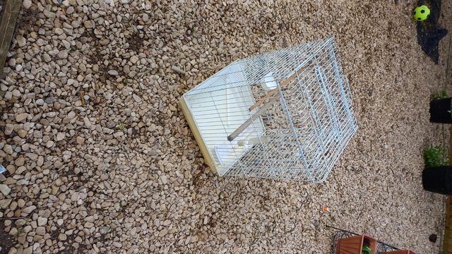 Image 4 of seconed hand bird cage for sale 2 foot  high 15 inches wide