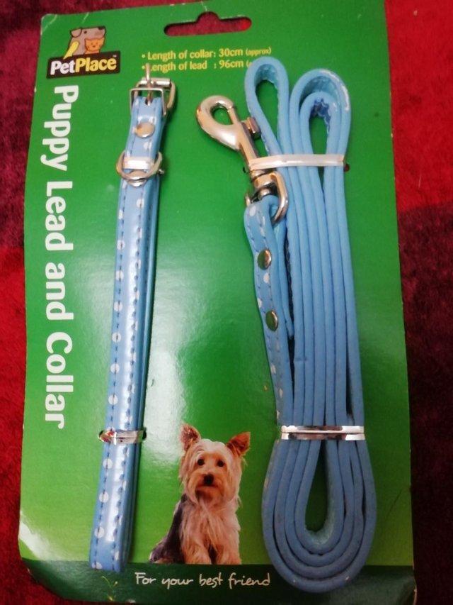 Preview of the first image of Dog or  puppy collar and lead blue.