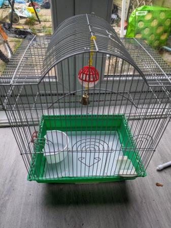 Image 2 of Beautiful Budgies and cages for sale