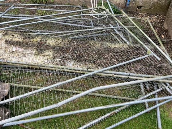 Image 1 of 10+ Heras fencing for sale