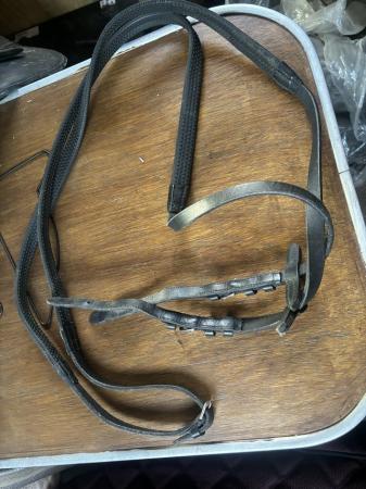 Image 1 of Reins and bridle for sale