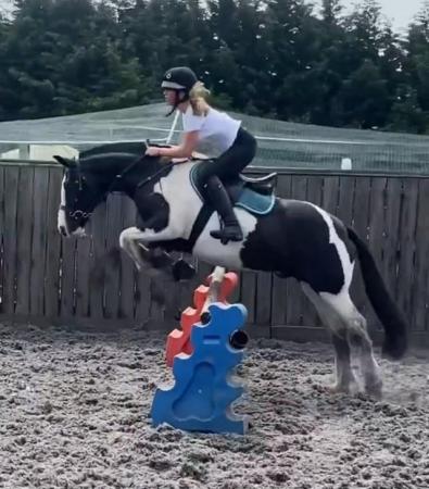 Image 1 of Part loan/share, 14.2hh gelding, Rothwell Northants