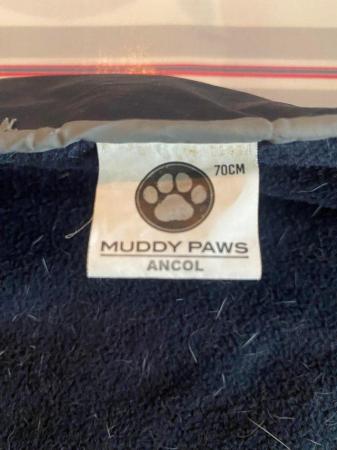 Image 5 of Ancol Muddy Paws All Weather Stormguard Coat, XX-Large