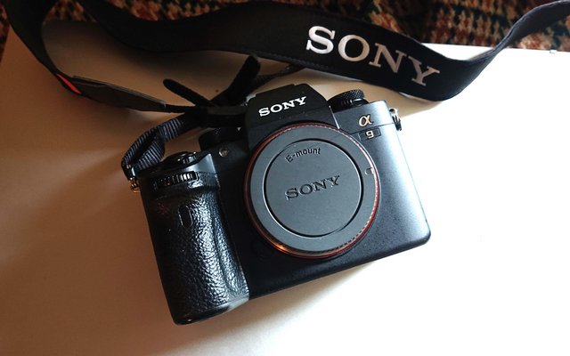 Preview of the first image of Sony Alpha A9 Mirrorless Camera.