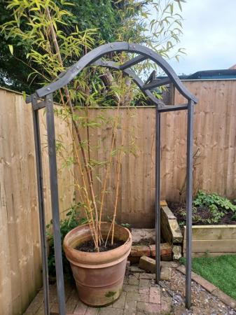 Image 1 of Treated wooden garden arch,