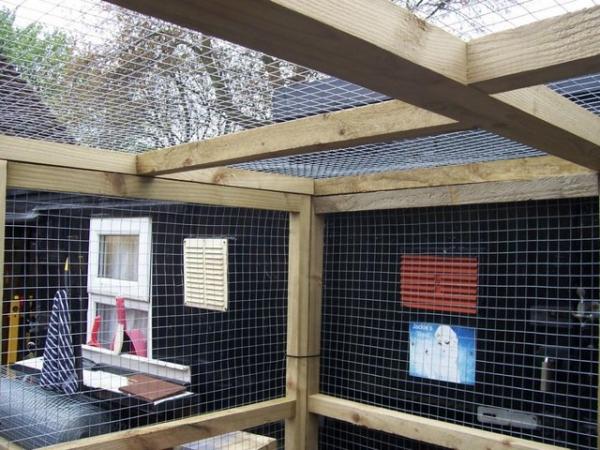 Image 2 of CATTERY 6' H X 6' W X 6' L 2"X 2" FRAME TANALISED WOOD 19g G
