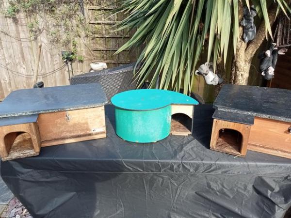 Image 3 of Hedgehog houses or feeding stations