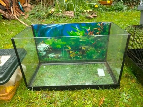 Image 2 of Various fish tanks, aquariums and accessories