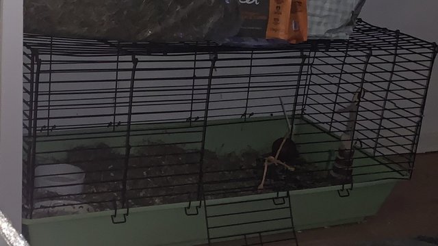 Image 4 of Small cage for small animals like rabbits