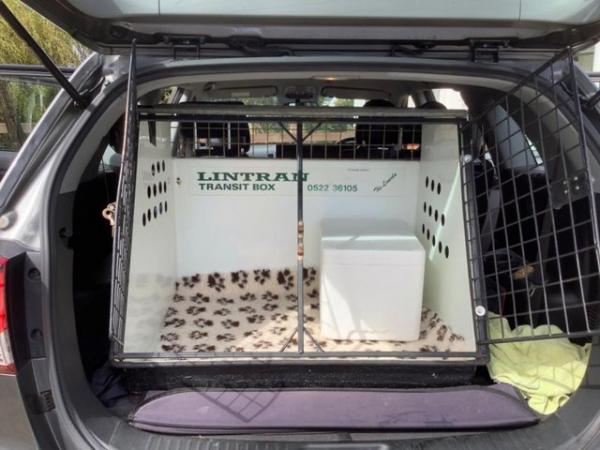 Image 5 of LINTRAN DOG CAGE FOR CAR
