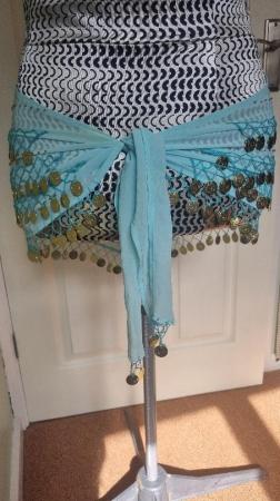 Image 2 of Belly dance hip scarf, very pretty.