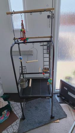 Image 2 of Parrot play stand with toys
