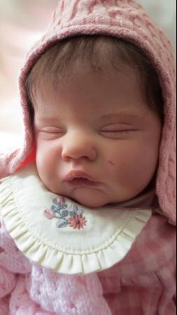 Image 1 of Reborn doll Quinbee by Laura Eagles