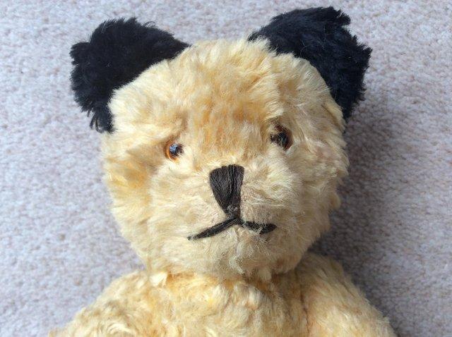 Preview of the first image of Teddy Bear with Black Ears 1960.