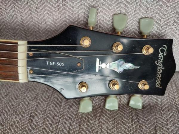 Image 1 of Tanglewood TSE - 505 Electric Guitar