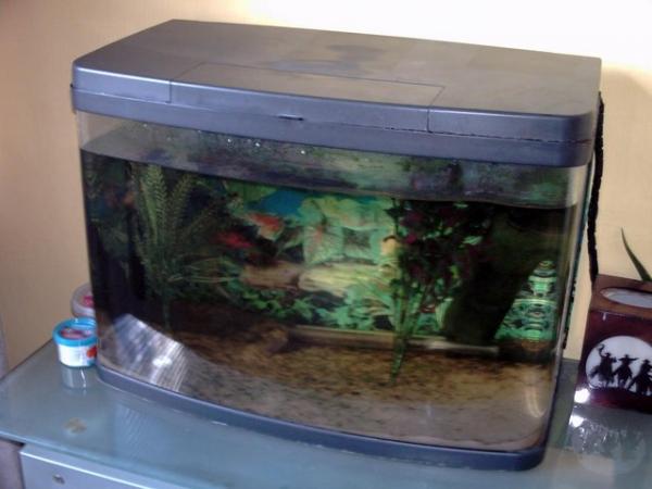 Image 4 of For sale fish tank, in good condition