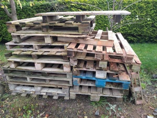 Image 1 of Free: 23 pallets for firewood