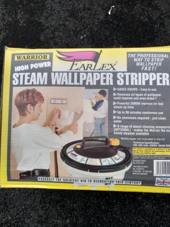 Image 1 of EarlexWarrior Steam Wallpaper Stripper